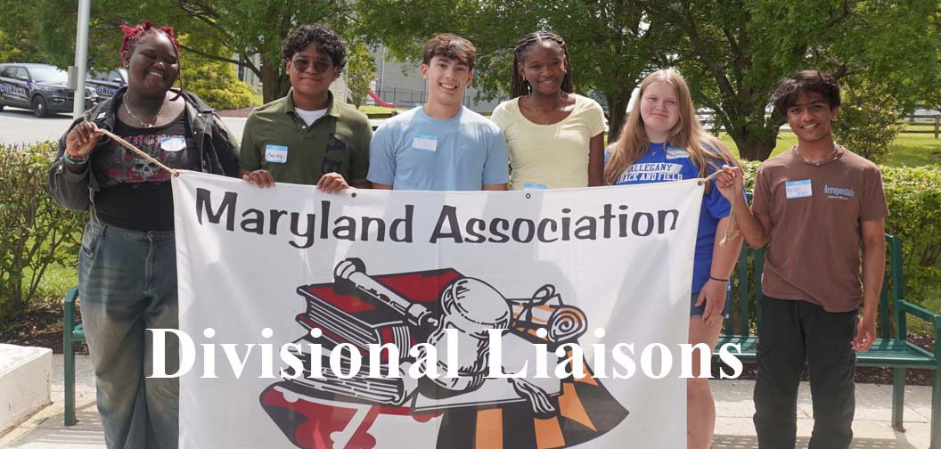 Divisional-Liaisons